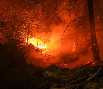 Waldbrand mit Glutnest, Wasserstrahl von der Seite