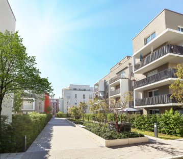 Neubau, Wohnen