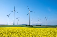 Bild Windräder auf gelber Wiese
