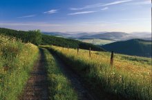 Das Bild zeigt einen Wanderweg im Sauerland.