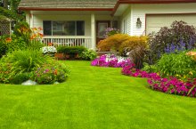 Garten Rasen Wiese 
