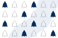 Jeder dritte Weihnachtsbaum stammt aus Nordrhein-Westfalen