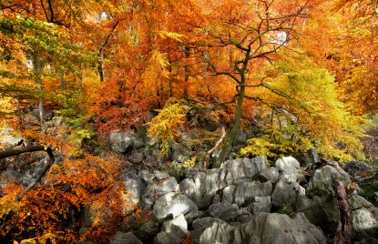 Fotowettbewerb MULNV Platz 1 - 2019