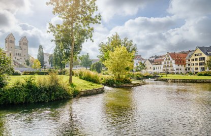 Fluss vor einer grünen Wese mit einer großen Birke, im Hintergrund der Dom zu Paderborn und der Rand der Innenstadt mit Häuser
