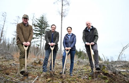 Zum internationalen Tag des Waldes: Ministerin Gorißen pflanzt Wildlinge gemeinsam mit Waldbesitzerinnen und Waldbesitzern ein
