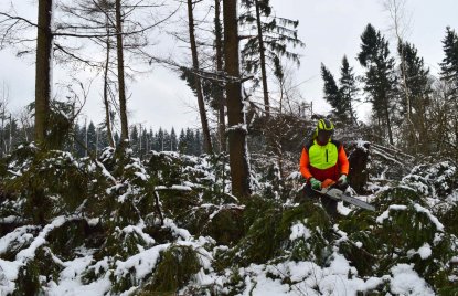 Waldarbeiter mit Motorsäge bei Aufräumarbeiten nach dem Sturm "Friederike".