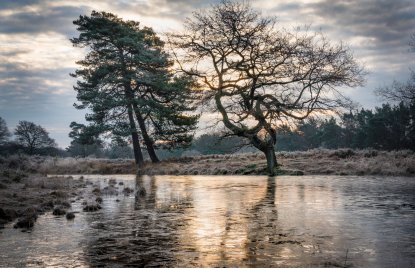 Fotowettbewerb „Lebendige Gewässer in Nordrhein-Westfalen“