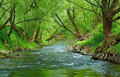 Fotowettbewerb „Lebendige Gewässer in Nordrhein-Westfalen“