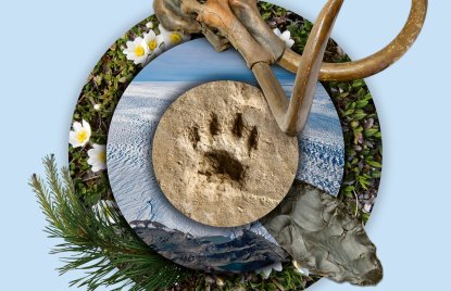 Ein Pfotenabdruck, ein Mammutskellet im Zentrum eines Plakatmotivs