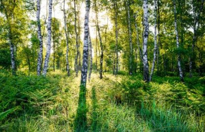 Fotowettbewerb „Wertvolles Naturerbe in Nordrhein-Westfalen“, 21.10.2013