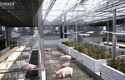 Virtuelles Modell von einem Stall mit mehreren Schweinen in den Boxen und mittiger Begrünung