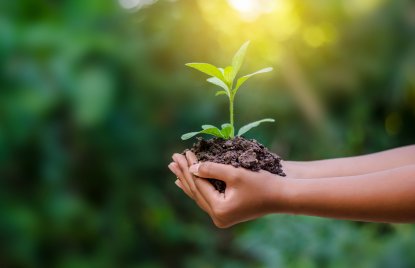phb Nachhaltigkeit, Hand hält junge Pflanze, Umwelt (2021)
