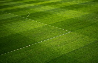 Leeres Fußballfeld, gemäht