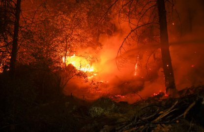 Waldbrand mit Glutnest, Wasserstrahl von der Seite