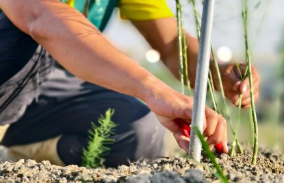 man sieht den Oberkörper eines Arbeiters auf einem Feld, wie er in der rechten Hand etwas rotes hält und mit der linken hand eine Pflanze einsetzt.