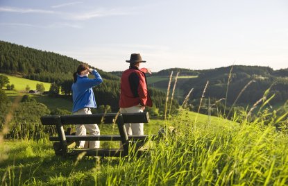 Bild Sauerland