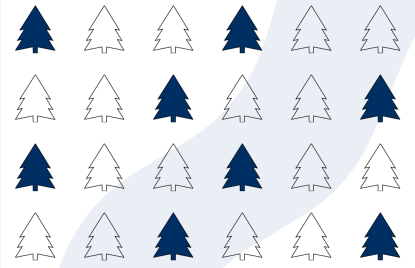 Jeder dritte Weihnachtsbaum stammt aus Nordrhein-Westfalen